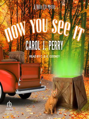 cover image of Now You See It